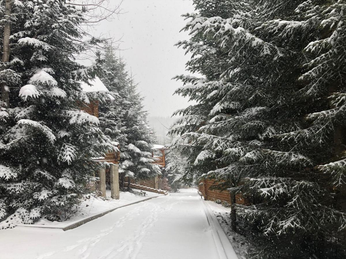 Коттедж Luky Migovo Exterior photo